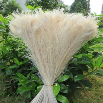 

Wholesale 20pcs/lot 55-60cm/22-24'' beautiful natural white peacock feathers eyes for DIY clothes decoration