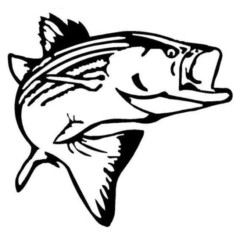 14 2 13 6cm Striper Fish Fashion Animal Car Stickers Salt Water Lake Bass Funny Stickers C4 0771 Car Sticker Funny Stickersstickers Funny Aliexpress
