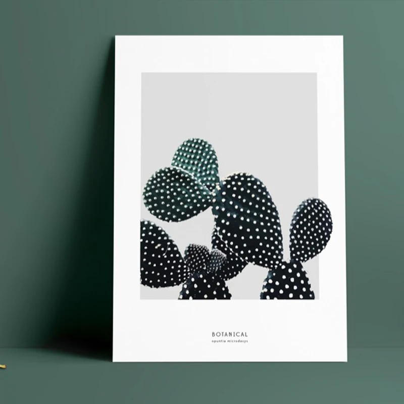 opuntia_2