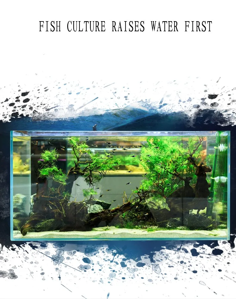 01_conew1