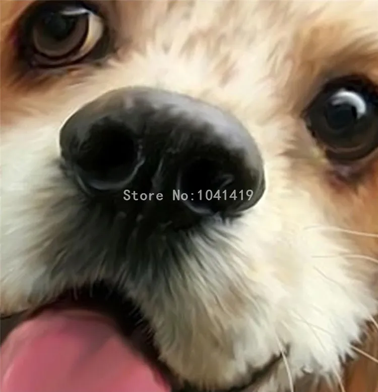 melhorias domésticas