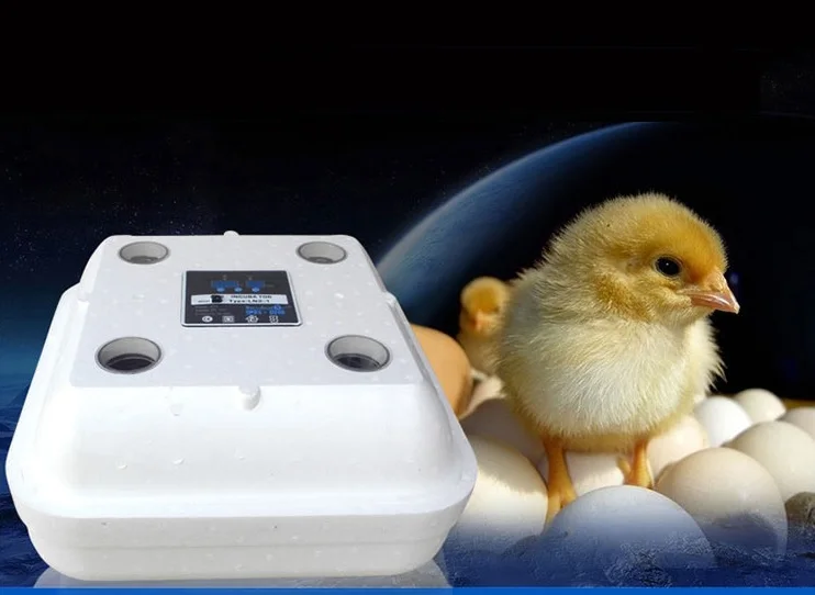 

36 Eggs or 42 Eggs Incubator Chicken Duck Goose Quail Egg Incubator Electronic Display Thermostat Automatic Manual Incubator