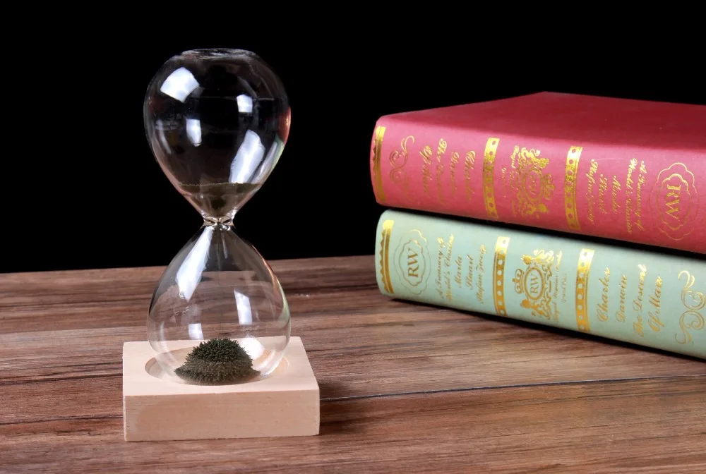 8752939055_721844914