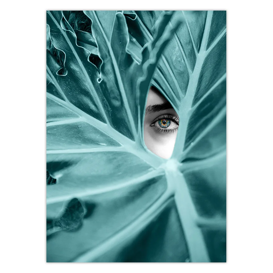 color_opt_1