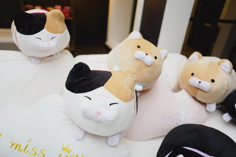 HTB1ly5Ycv9TBuNjy0Fcq6zeiFXax