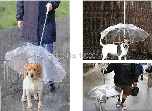 Free Shipping High Quality Pet Dog Supply Pet Umbrella Dog Umbrella