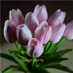3 baby pink-1