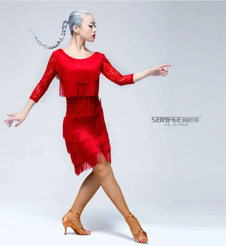Sexy Latin Dance Dress 9