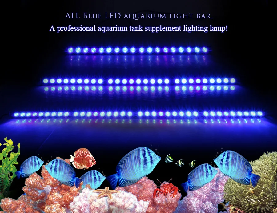 ik draag kleding Overstijgen holte Populargrow 54w/81w/108w Led Aquarium Light With Only 470nm Blue Spectrum  Strip Light Beautiful Your Coral Reef Fish Tank Lamp - Lightings -  AliExpress