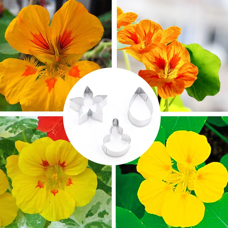 

3pcs New Stainless Steel Dry Golden Lotus Fimo Clay Mold Designer DIY Soft Polymer Clay Flower Blossom Petal Cutter Tools