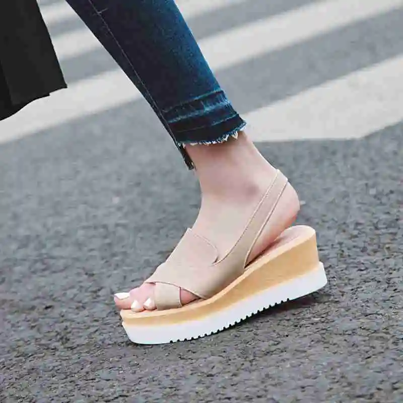 IMG_5383