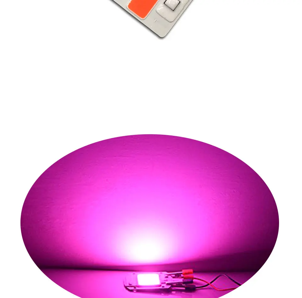 AC 110V 220V Driverless COB Plant Growing Lamp 20W 30W 50W Full Specturm Smart IC COB Chip LED Plant Grow Light Feeding Bulbs (12)