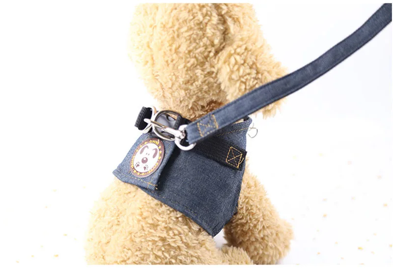 HTB16Sqqbs_vK1RkSmRyq6xwupXaq