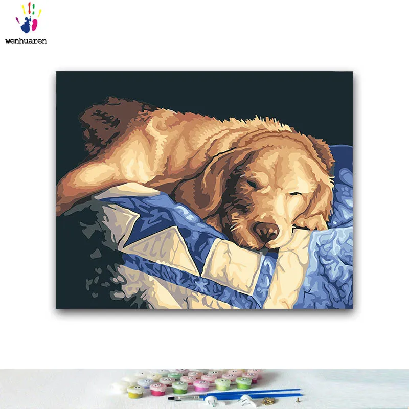 

DIY Coloring paint by numbers Sunshine sleeping puppy paintings by numbers with kits 40x50 framed
