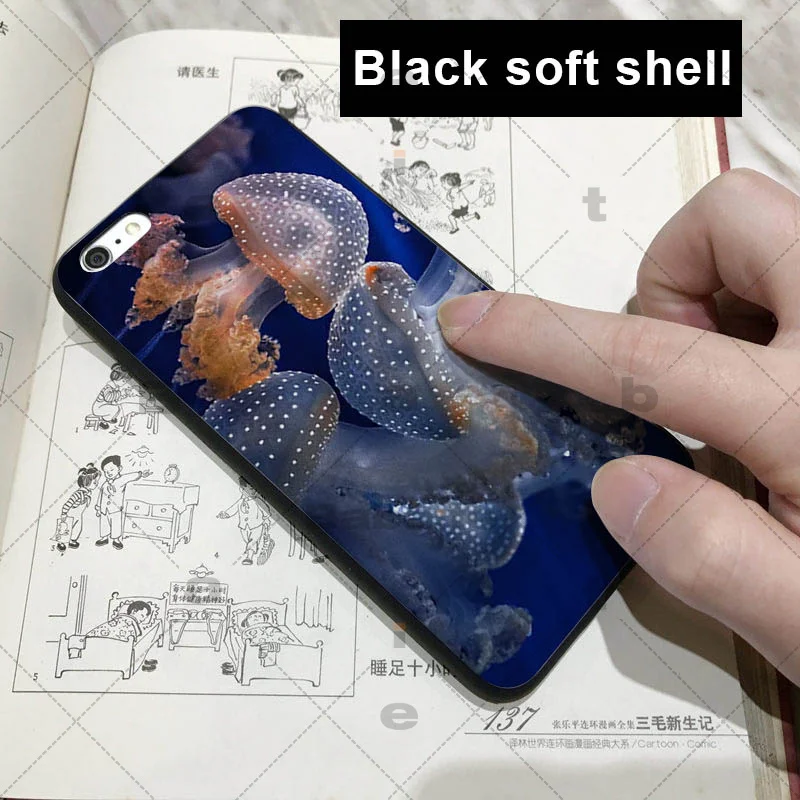 Jellyfish
