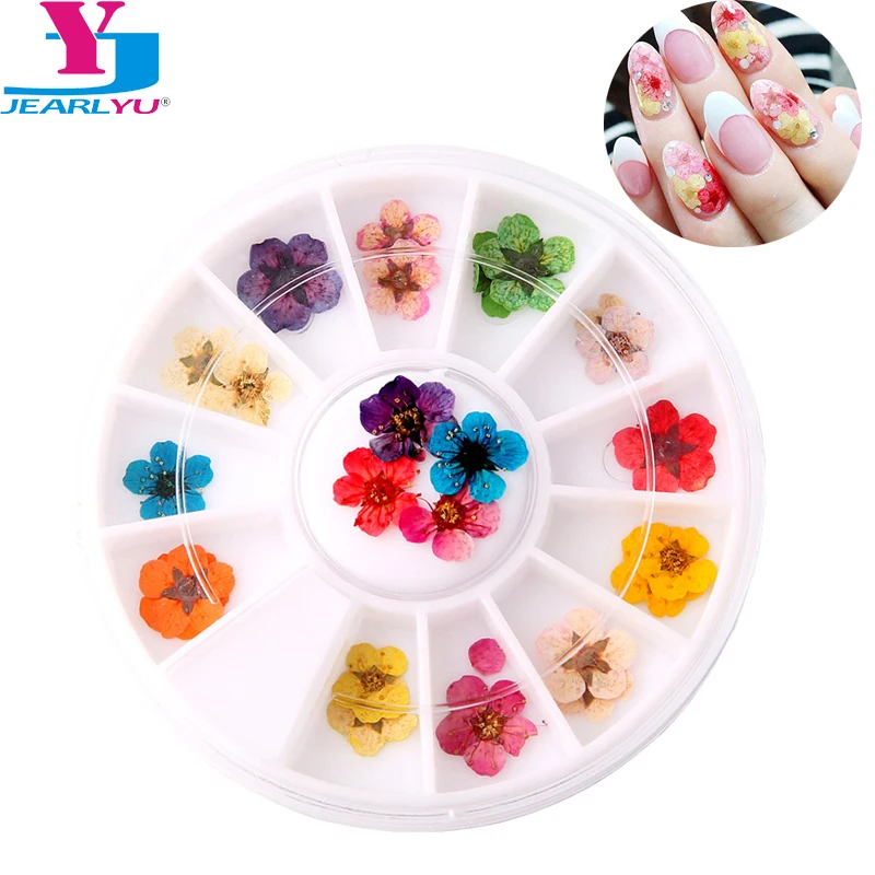Сушеные цветы лист 24 шт/колесо для украшения ногтей натуральный цветочный стикер 3D прессованный цветок УФ Гель-лак маникюрные наборы DIY