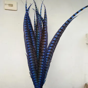 

YY-tesco 100pcs 65-75cm natural Lady Amherst Pheasant Feather for carnival party sapphire pheasant feathers costumes decoration