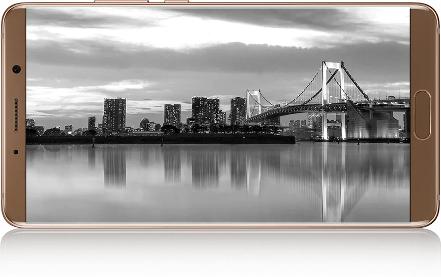 design-ModelImg