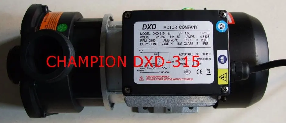 DXD-315E 220 V~ 50 hz 1.5HP насос для горячей ванны& Спа насос& Ванна насос