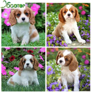 

YOGOTOP DIY Diamond Painting Cross Stitch Full Diamond Embroidery Cavalier King Charles Spaniel puppy Dog 5D Mosaic Decor QA282