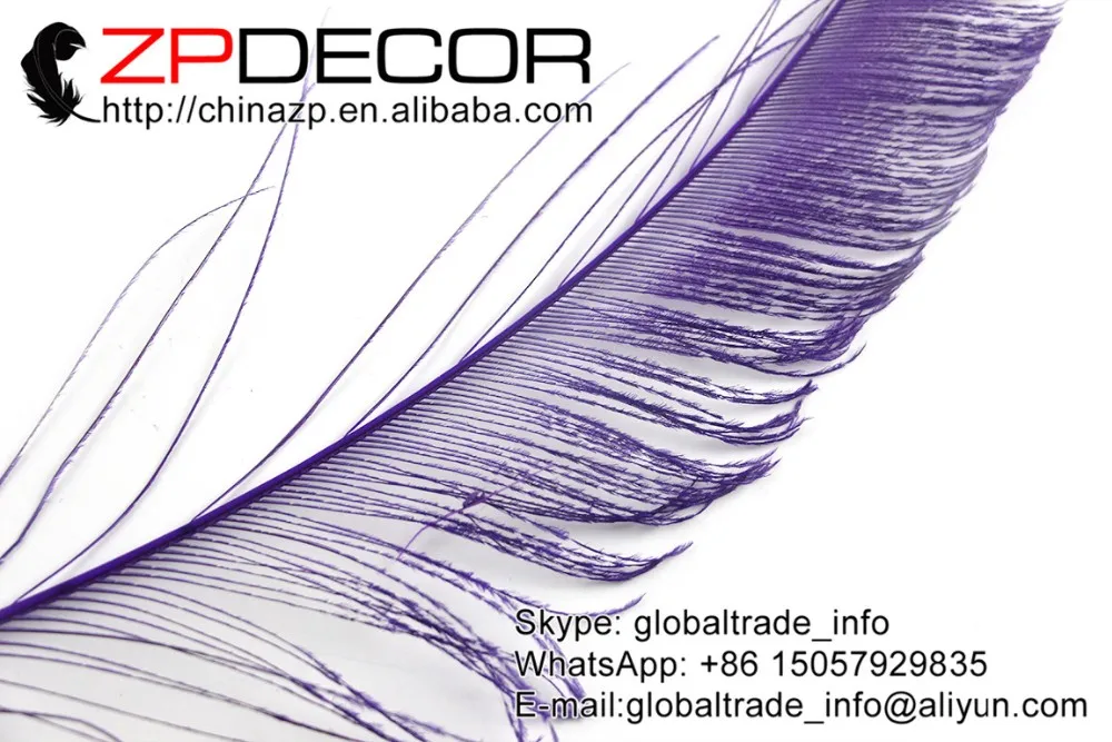 Purple peacock swords feathers  (6)