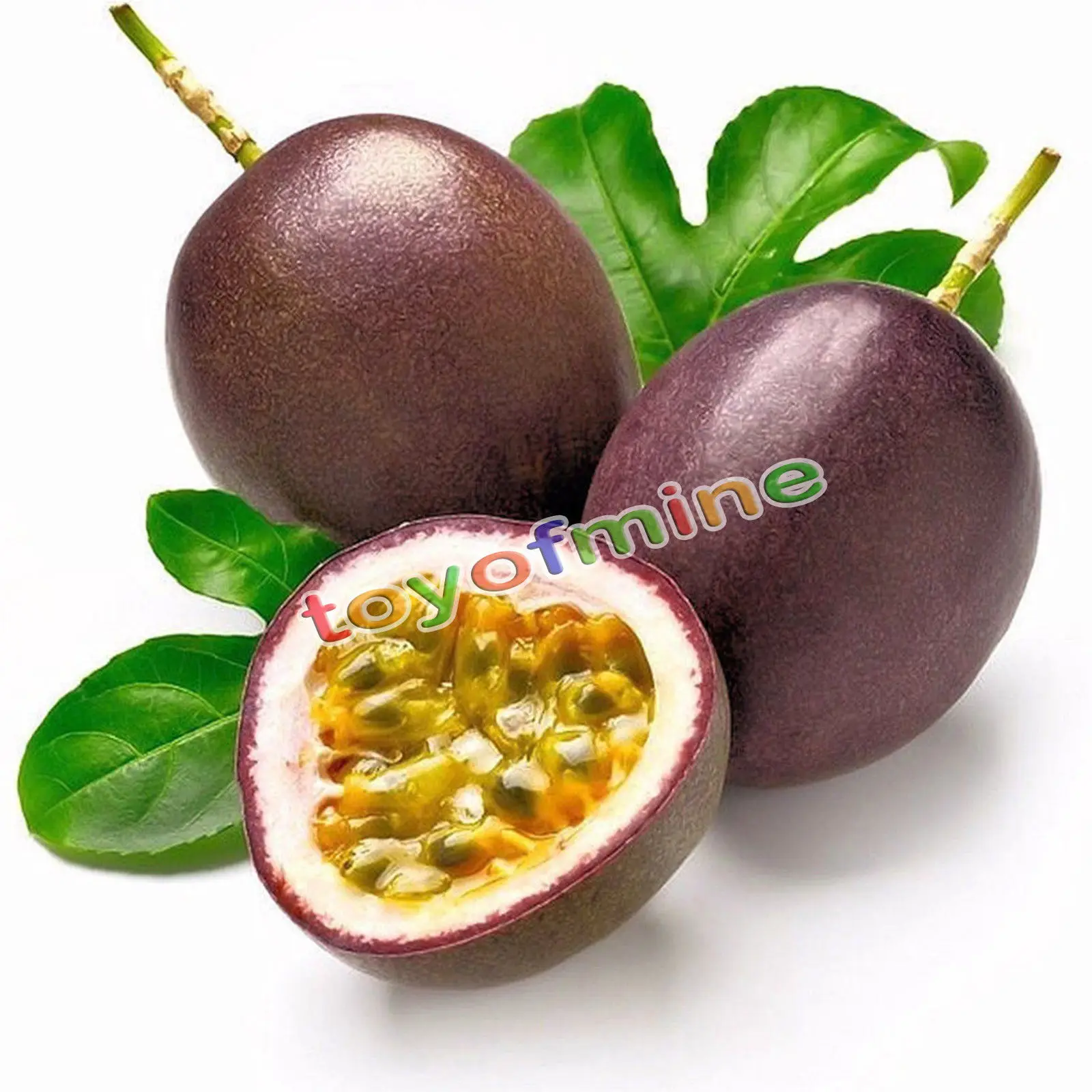Buy Rare Flower Seeds Passiflora seeds fruit tree
