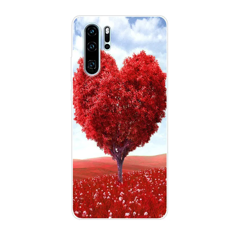 Huawei P30 Pro (10)