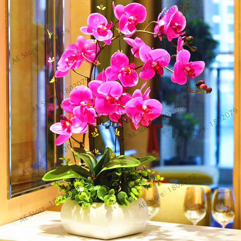 100 шт Редкие орхидеи Бонсай Балконный цветок смешанный цвет бабочка Орхидея растение красивый сад фаленопсис орхидеи Флорес