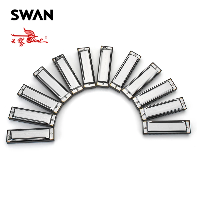 بجعة 12 قطعة/المجموعة 10 الثقوب هارمونيكا مجموعة 12 مفاتيح abcdefg أب bb db eb gb قيثارات مفتاح الآلات الموسيقية سلم موسيقي SW1020-12T بجعة 12 قطعة/المجموعة 10 الثقوب هارمونيكا مجموعة 12 مفاتيح abcdefg أب bb db eb gb قيثارات مفتاح الآلات الموسيقية سلم موسيقي SW1020-12T