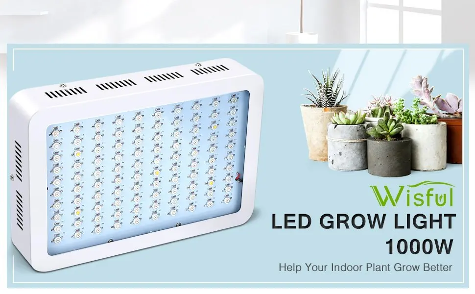 plant lamp (1)