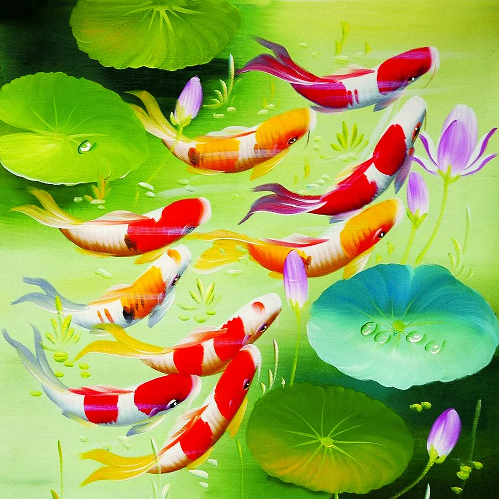   60x60