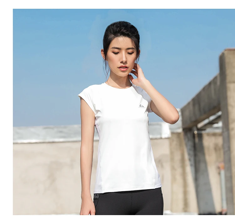 SY-t02_11