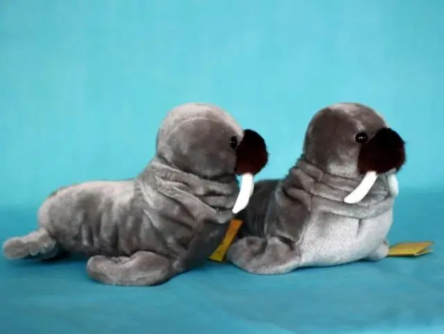  goods gray Walrus,morse plush toy,Christmas gift h25
