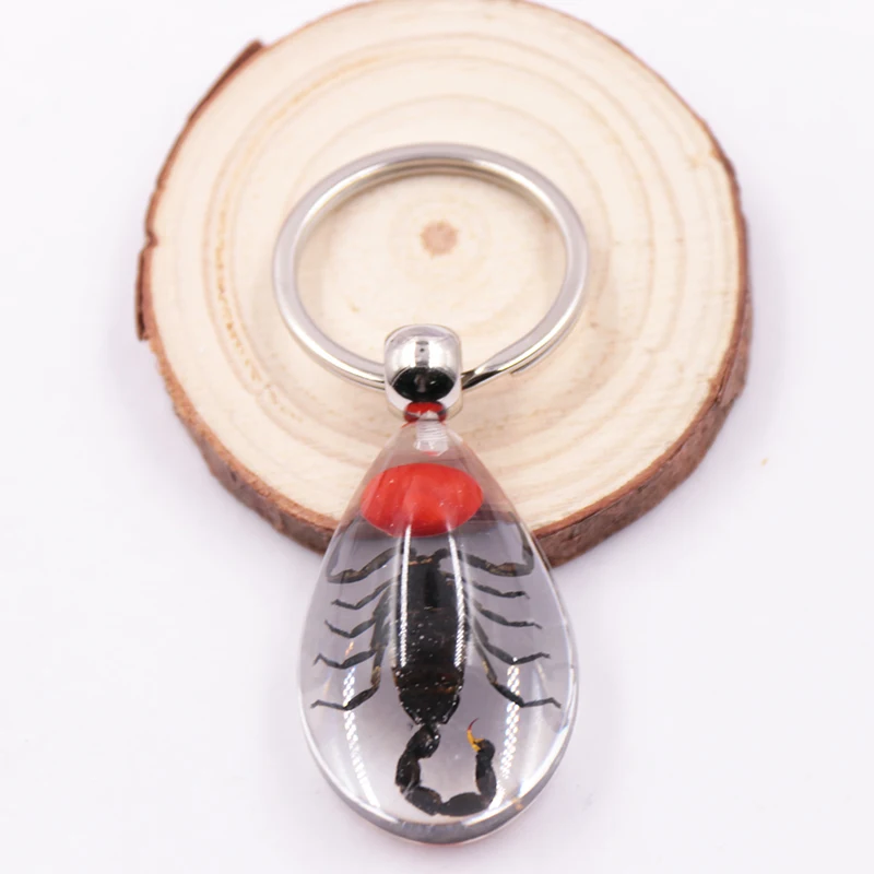 Fashion high quality Innovative design scorpions transparent tear drop resin luminous key ring chain