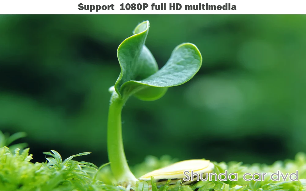 1 1080P