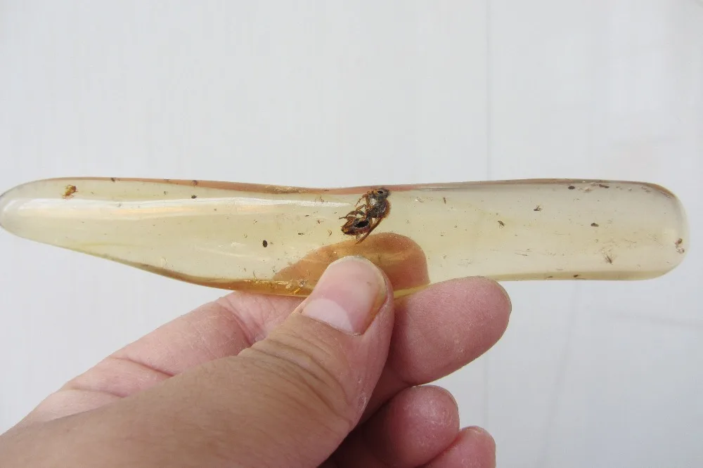 22,5 г хороший янтарь аутентичный мадагаскарский копаль полированный окаменелый с насекомыми