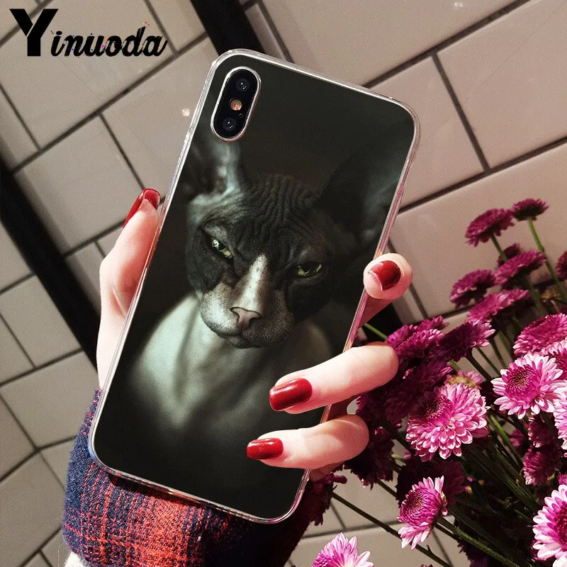Yinuoda тату Сфинкс Кот ТПУ мягкий чехол для телефона Apple iPhone 8 7 6 6S Plus X XS MAX 5 5S SE XR