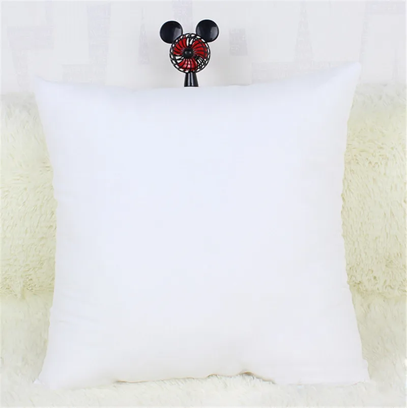 pillow core09