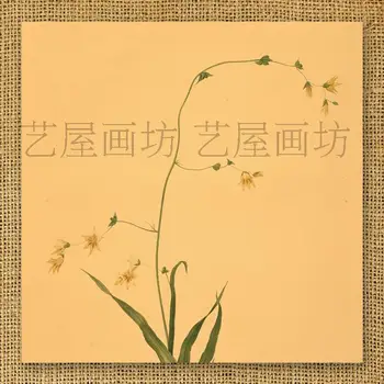 

Nostalgic vintage cowhide paper fashion decorative painting flower mural paintings poster painting retro drawing
