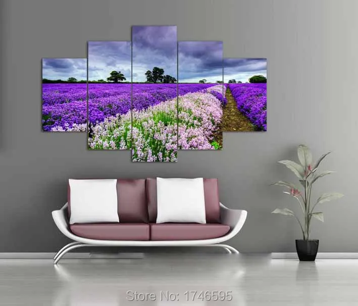Lavender garden-1