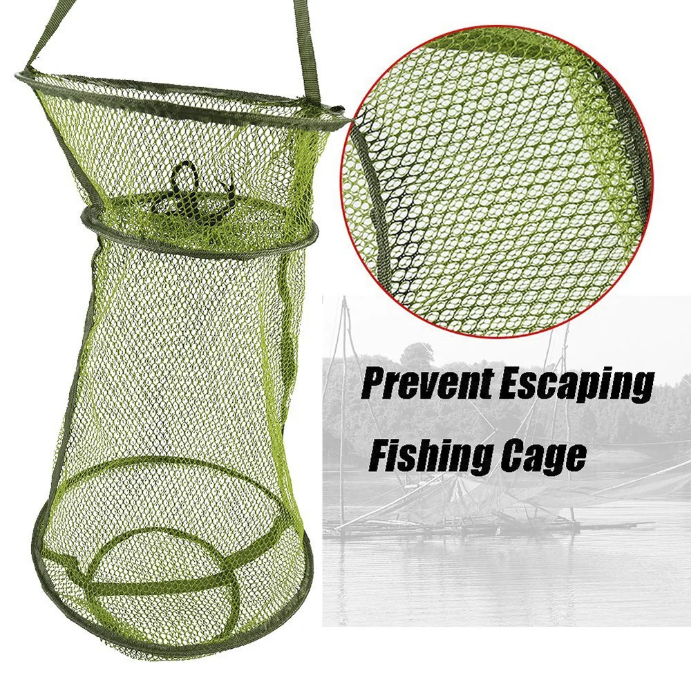 folden escaping Fishing Net cage
