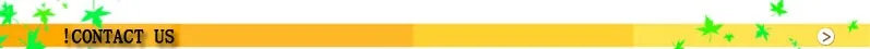 contact us