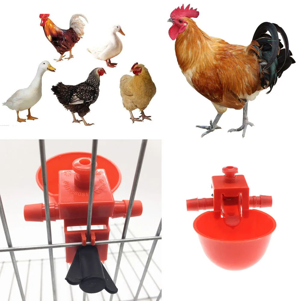 

5 PCS Useful Plastic Duck Red Chicken Water Cup Automatic Feeder Cage Feed Drinker Bowl Farm Animal