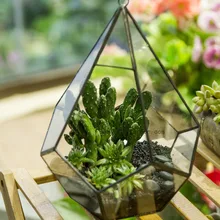 Modern Glass Box Artistic Clear Glass Geometric Terrarium Five surfaces Diamond Succulent Fern Moss Terrarium with