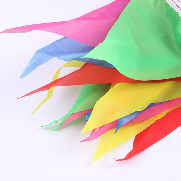 Rainbow Bunting-EJG03 (10)