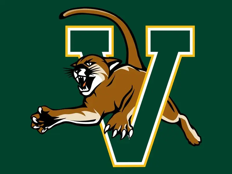 Image result for vermont catamounts logo