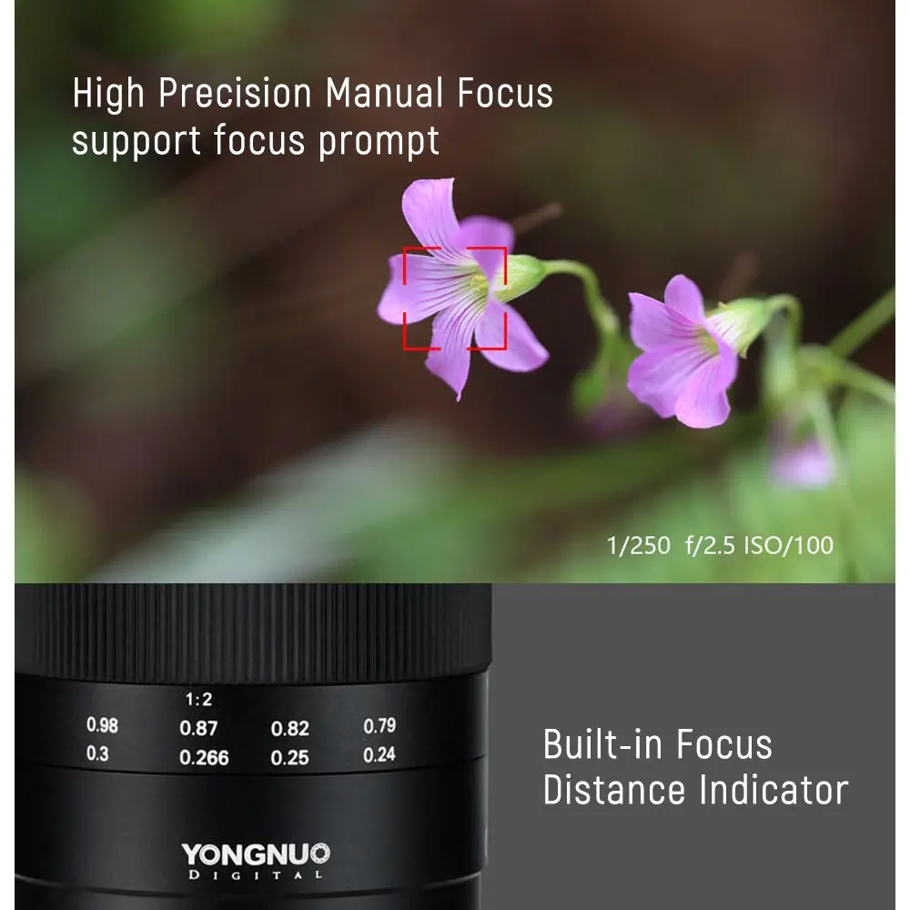 YONGNUO YN60mm F2Ne MF 0,234 m макро объектив ручной фокусировки с индикатором расстояния для Nikon D3400 D5600 D7500 D850 D5 DSLR камеры