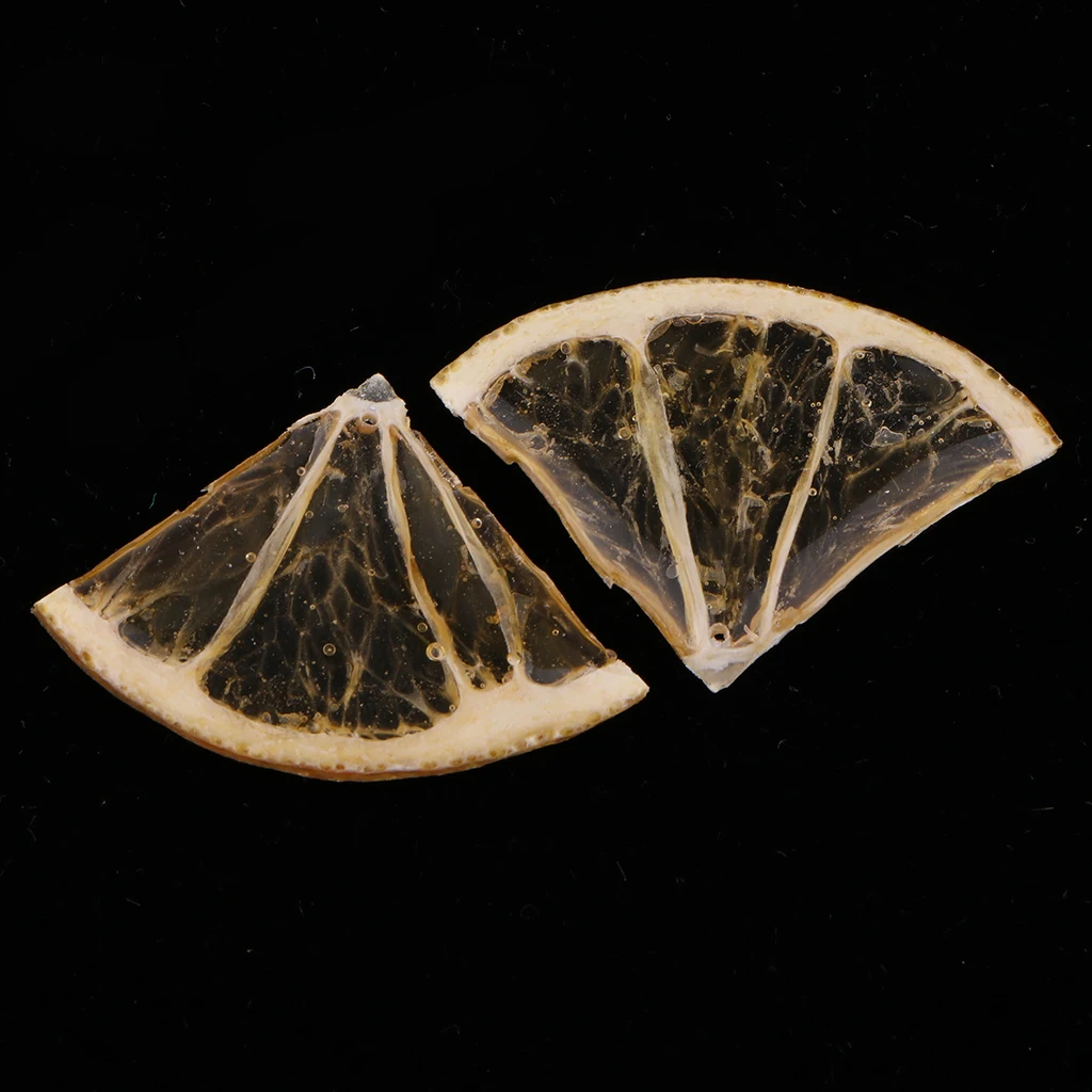 2 Pieces CUTE Dried Orange Slices Charms with Liquid Resin Covered Pre-drilled for DIY Earrings Pendant Jewelry Making Findings