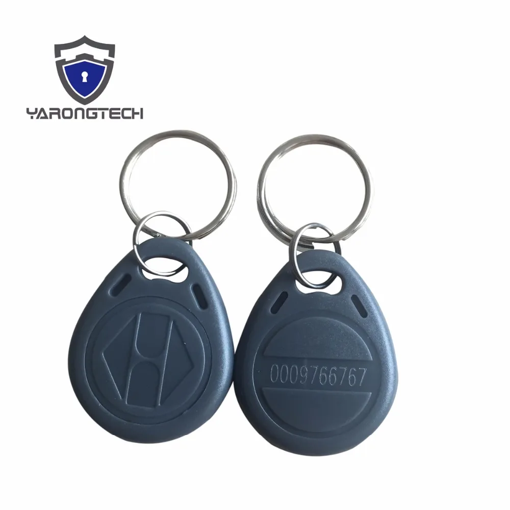 100 Portachiavi RFID 125 KHz - Carte Di Prossimità Impermeabili In ABS Con Chip EM4100/TK4100 - Blu