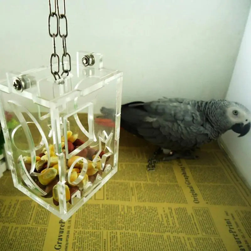 

Parrot Bird Cage Feeder Acrylic Hang Foraging Toys Pet Treat Hunt Macaw Cockatoo Drop Shipping